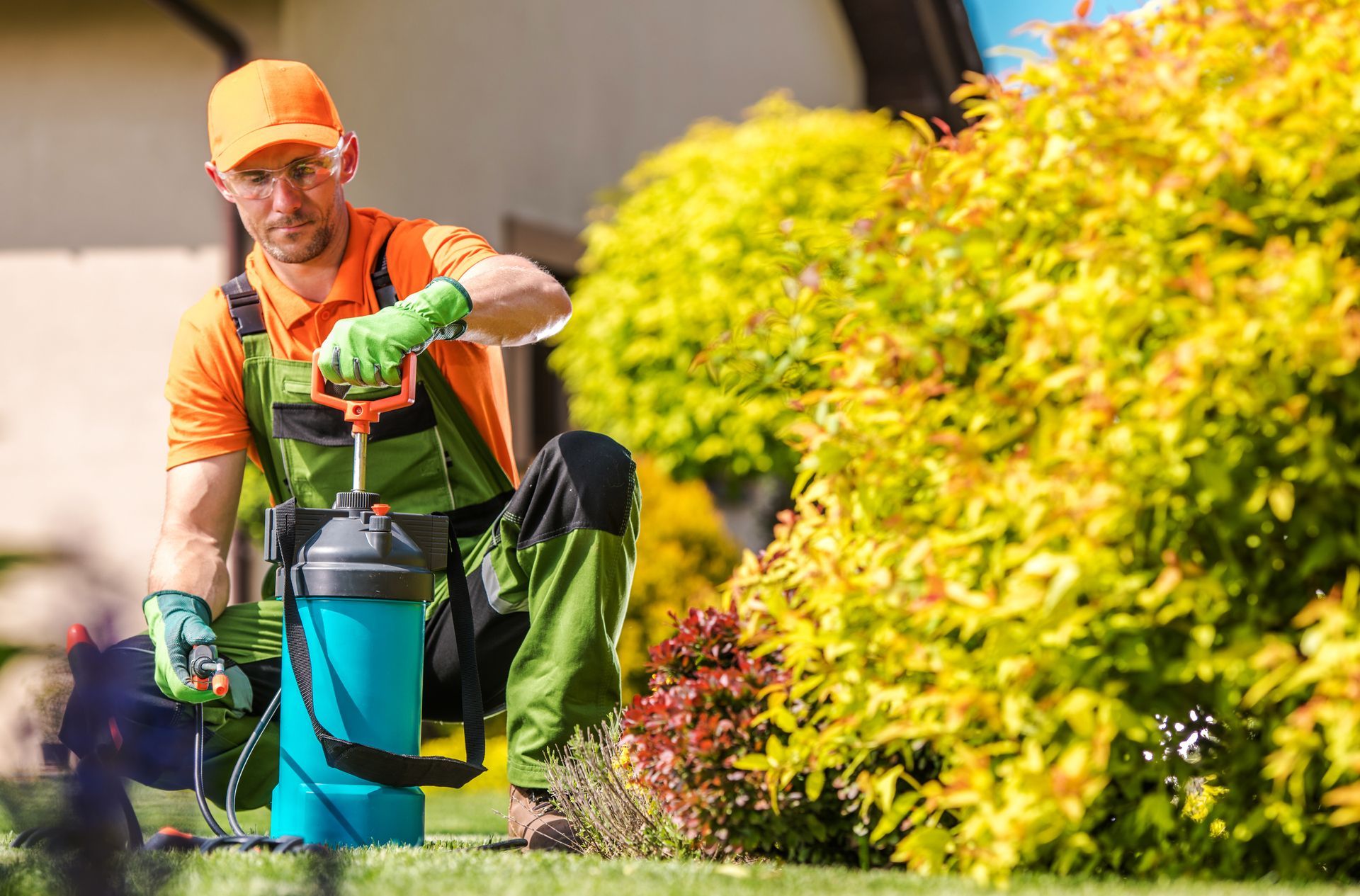 Gardener in orange safety gear using a backpack sprayer beside bright green shrubs