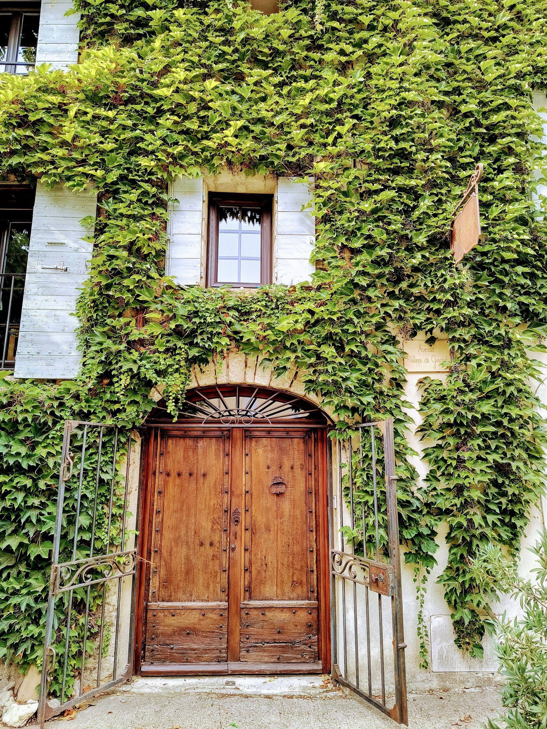 Image of home in provence covered in ivy