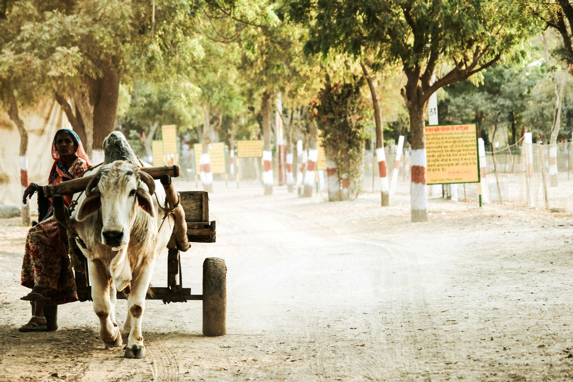a cart on an Indian street with two women
