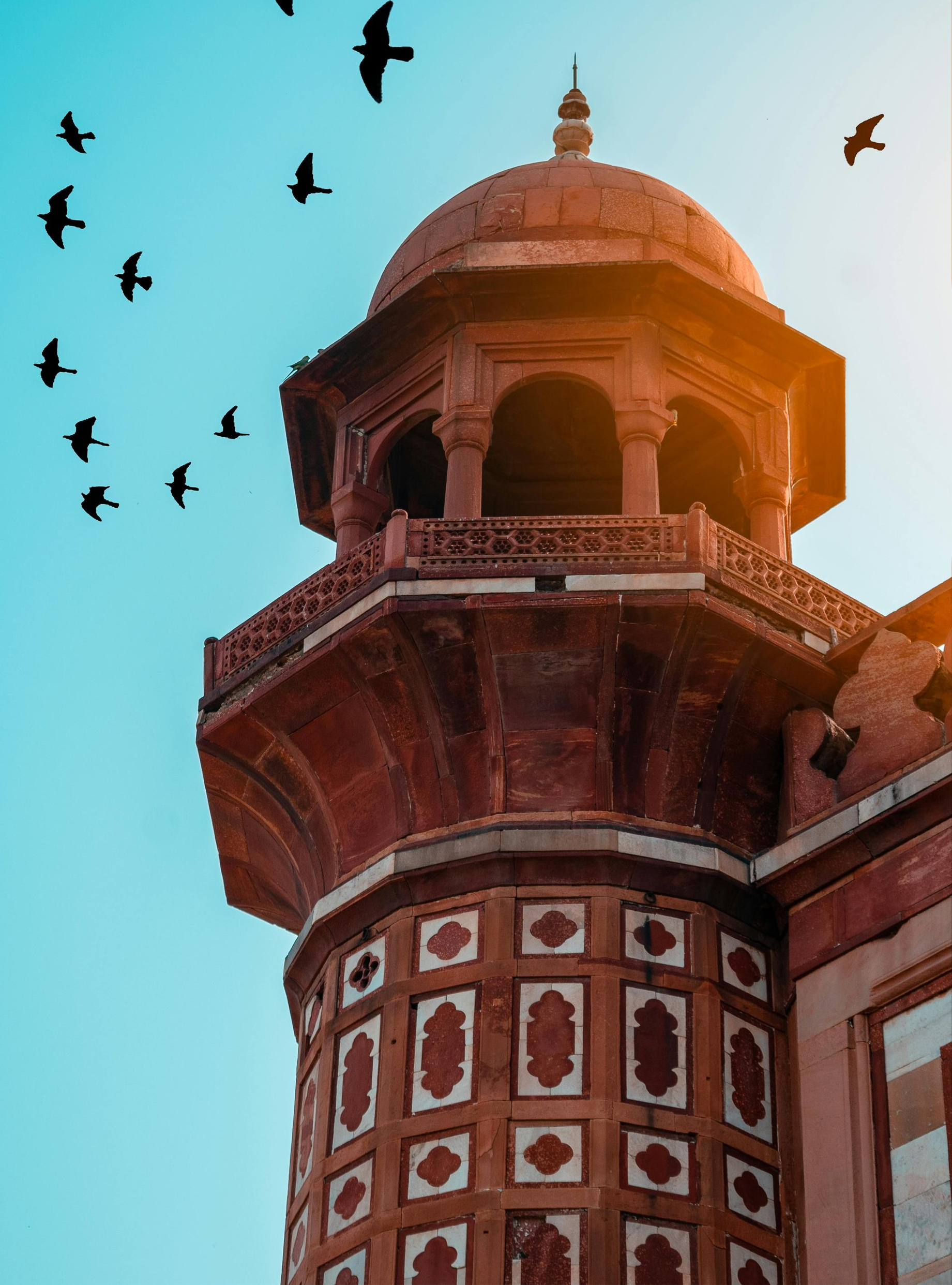 Birds flying near architecture of India