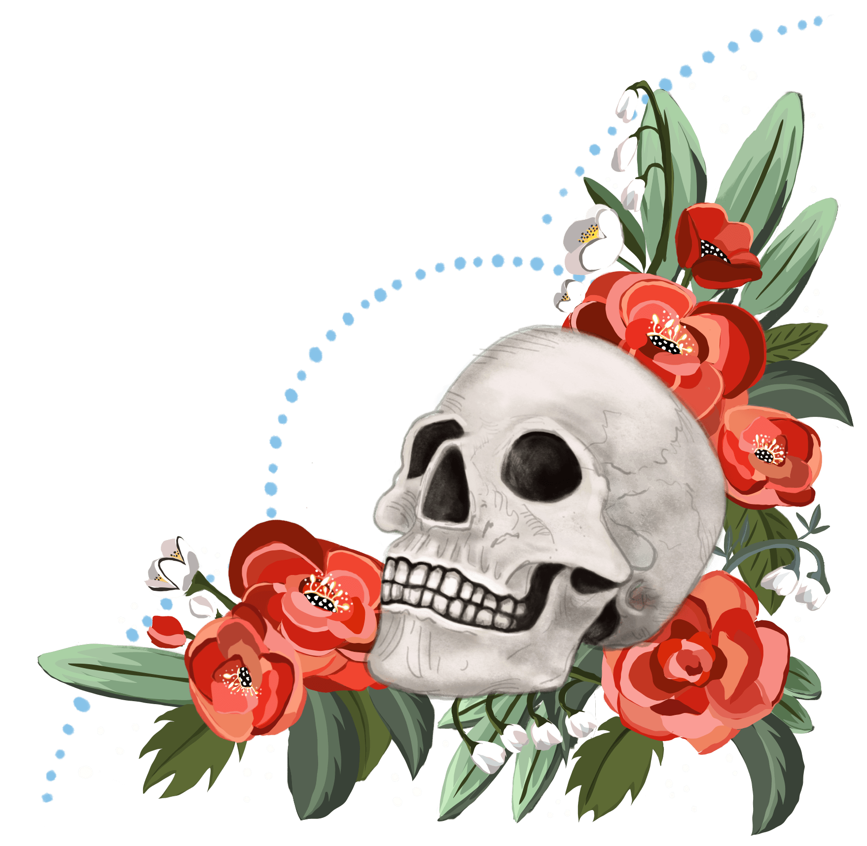 A skull is surrounded by red roses and leaves on a white background.