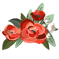 A bunch of red flowers with green leaves on a white background