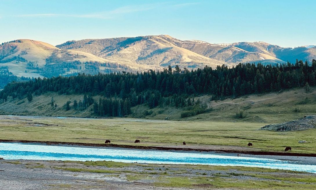 Cody Wyoming