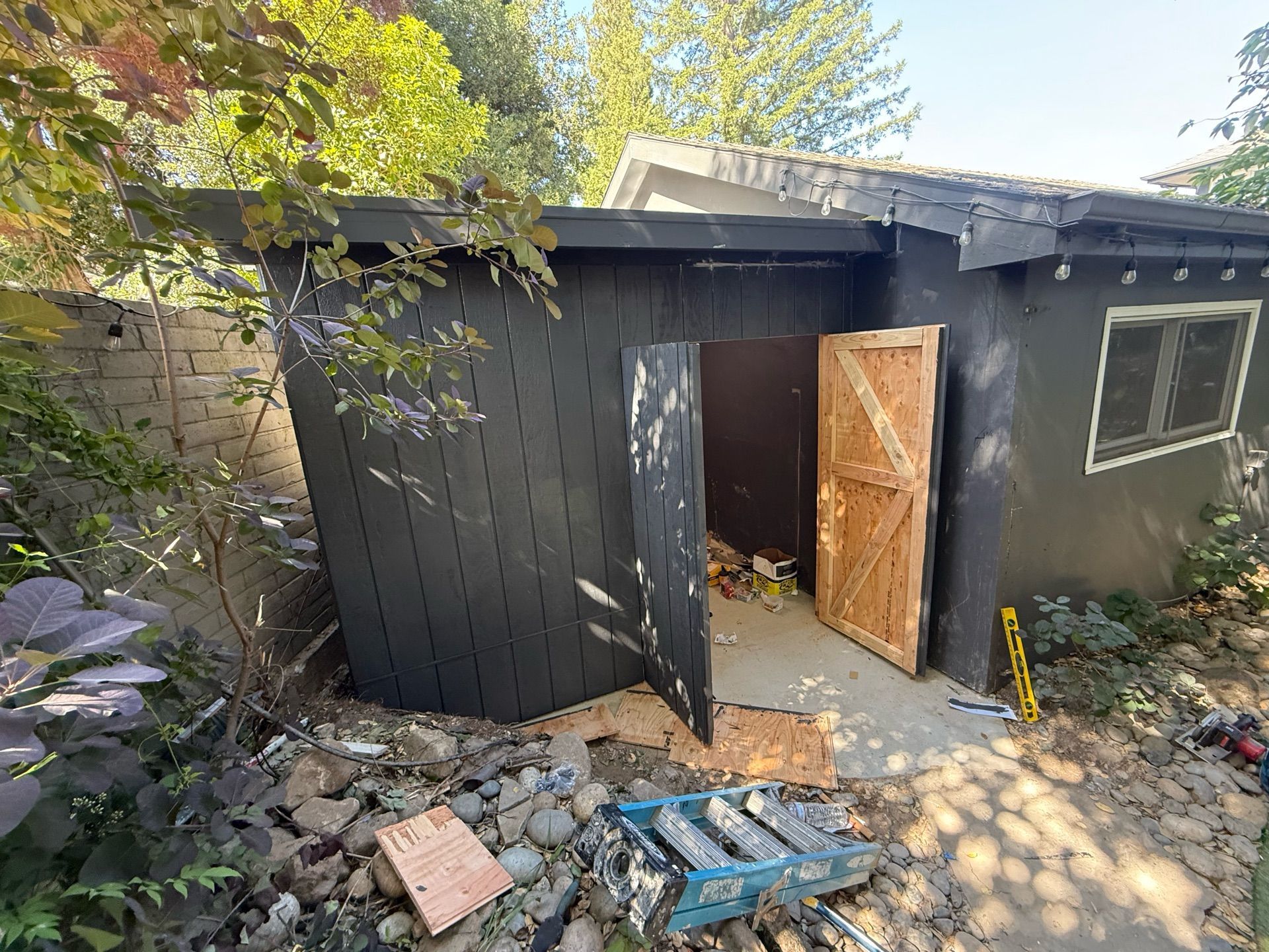 A black shed with the doors open in a backyard.