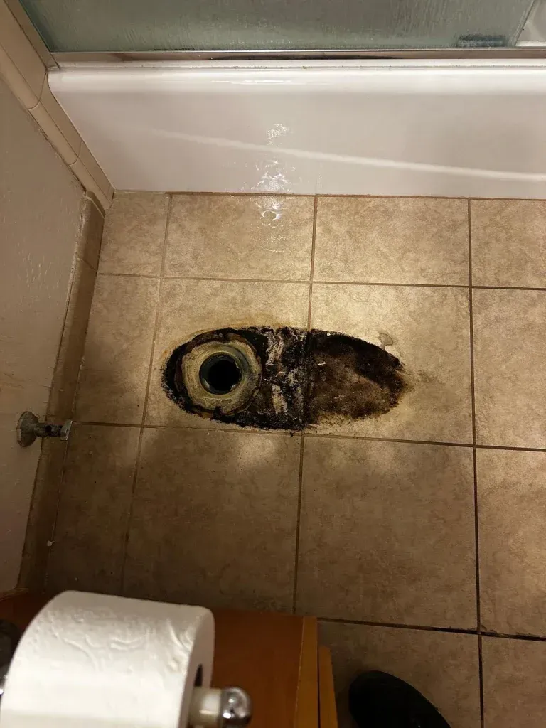 A bathroom with a hole in the floor and a toilet paper roll.
