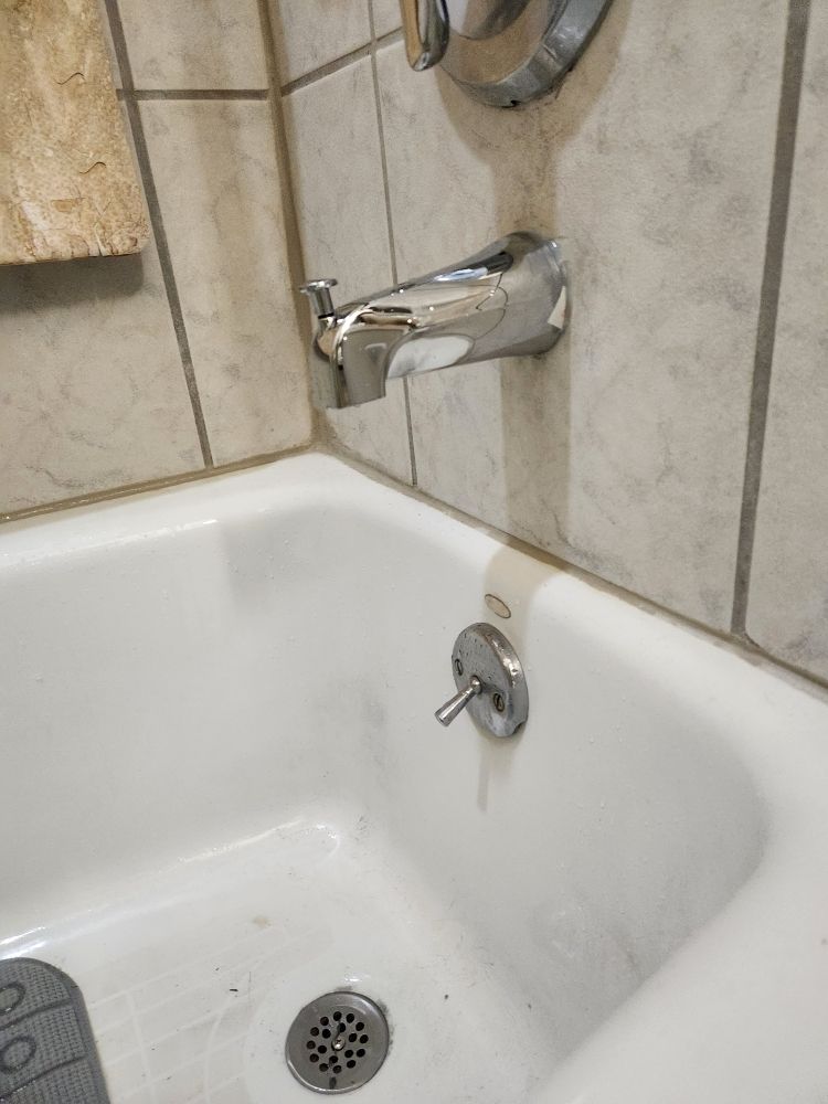 A termite is crawling on a white surface.