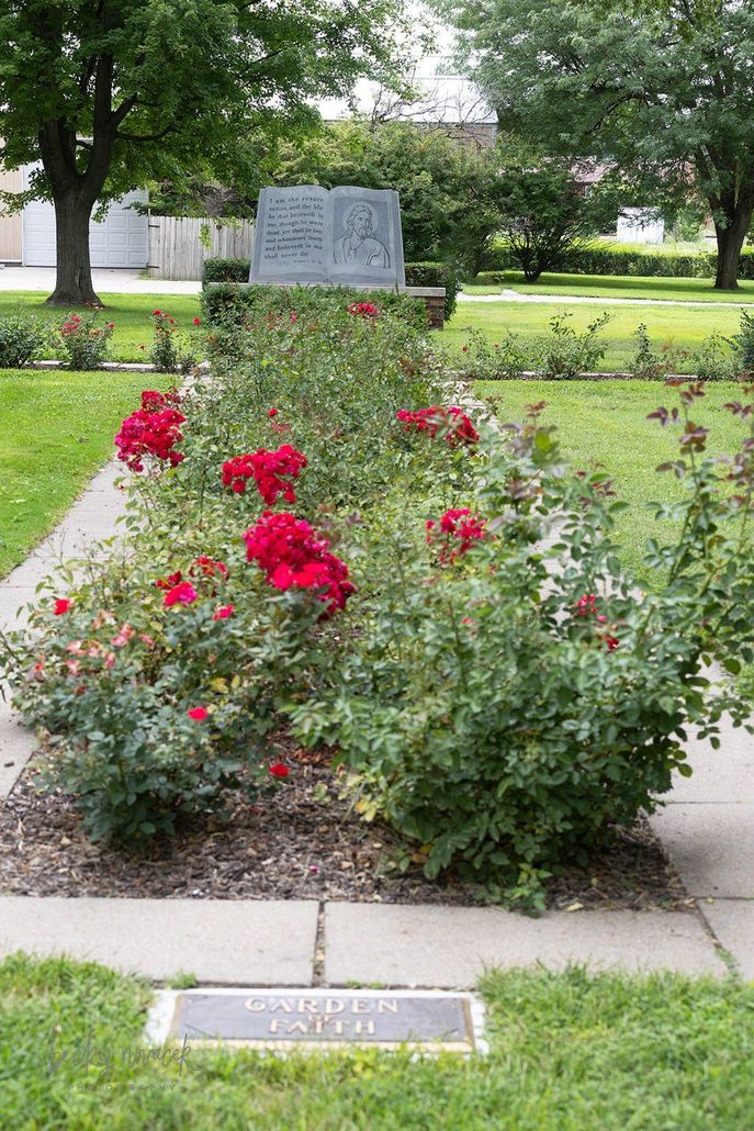 tulips in front of historic graves