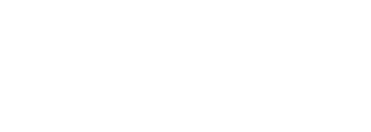 Gutter Pro LLC