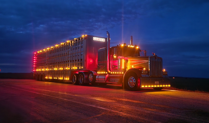 Semi-truck with bright lights driving on a road at dusk.