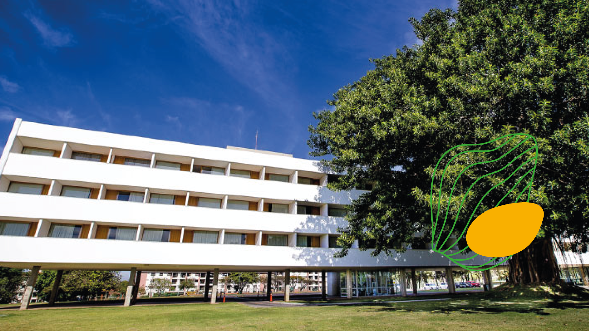 Prédio branco com piso térreo aberto, uma grande árvore e céu azul.