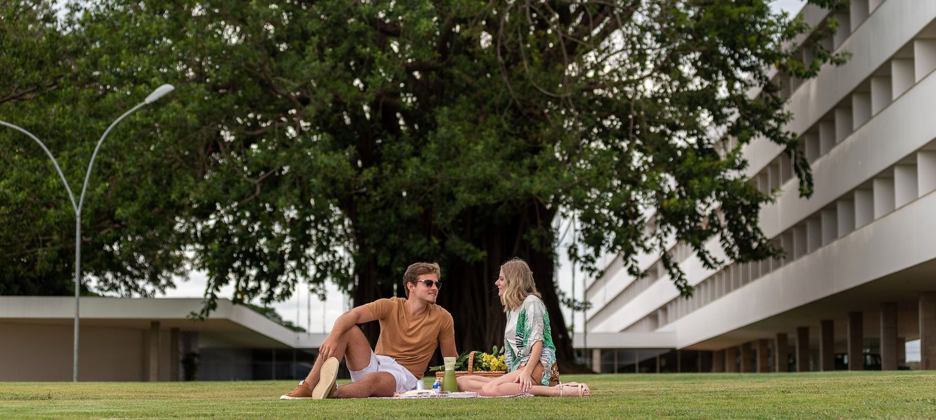 Casal fazendo piquenique na grama perto de uma grande árvore e um prédio moderno.