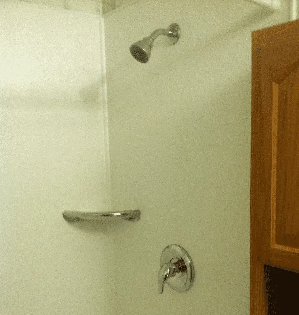 Bathroom Shower – Rincon, GA – Heck Plumbing