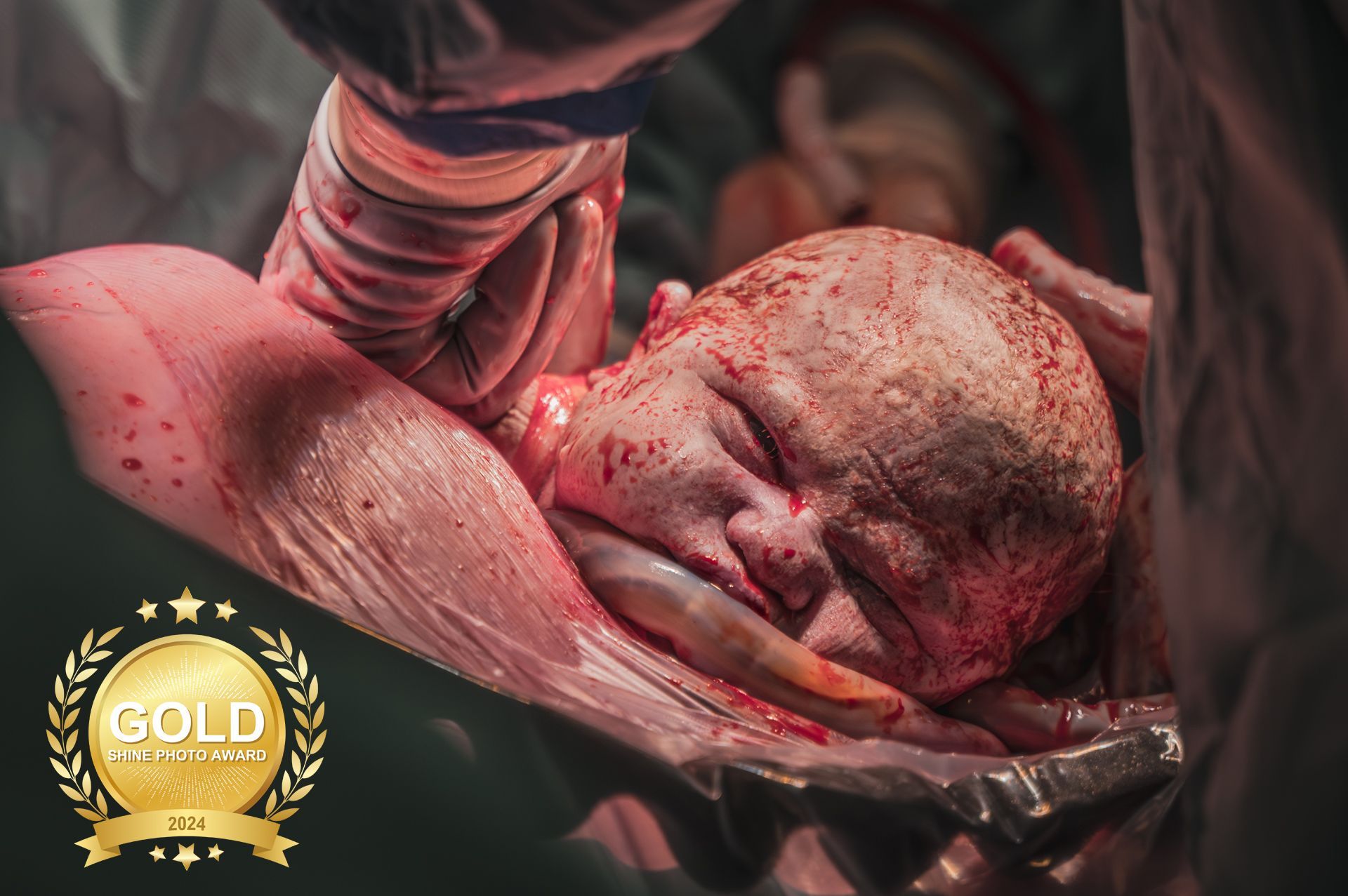 Internationale Gouden award voor deze geboortefoto  – Winnaar bij de Shine Photo Awards 2024.