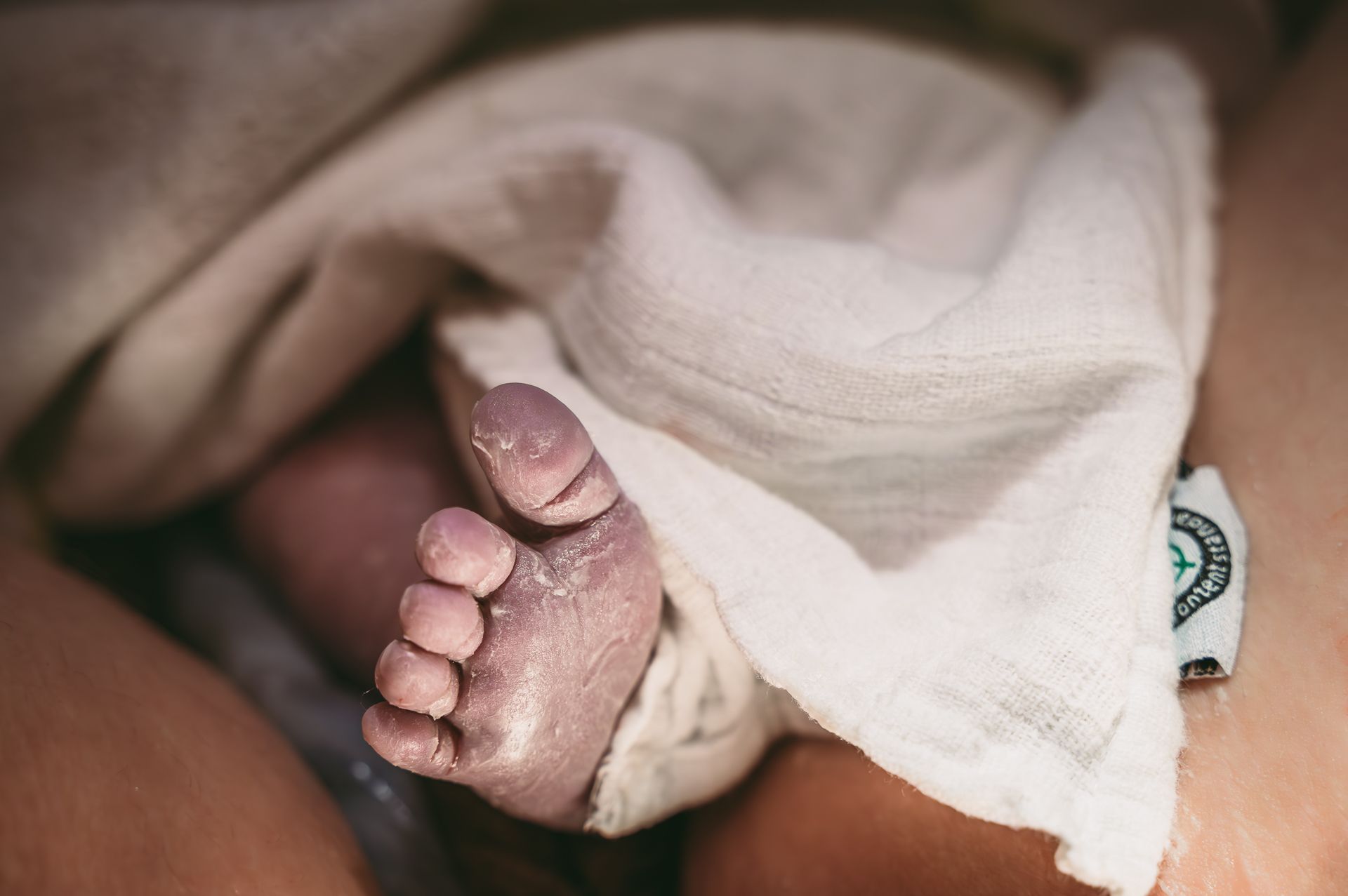 
Photos+by+Loes-22.jpg
Geboorte van Joël