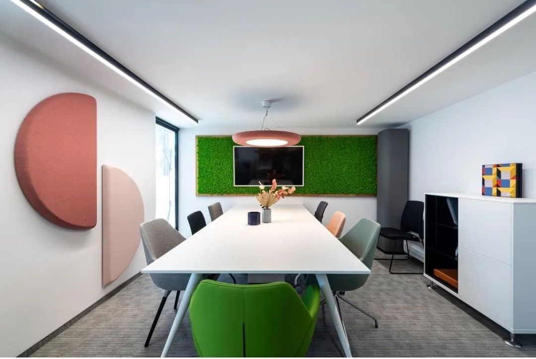 Lichene stabilizzato Arona