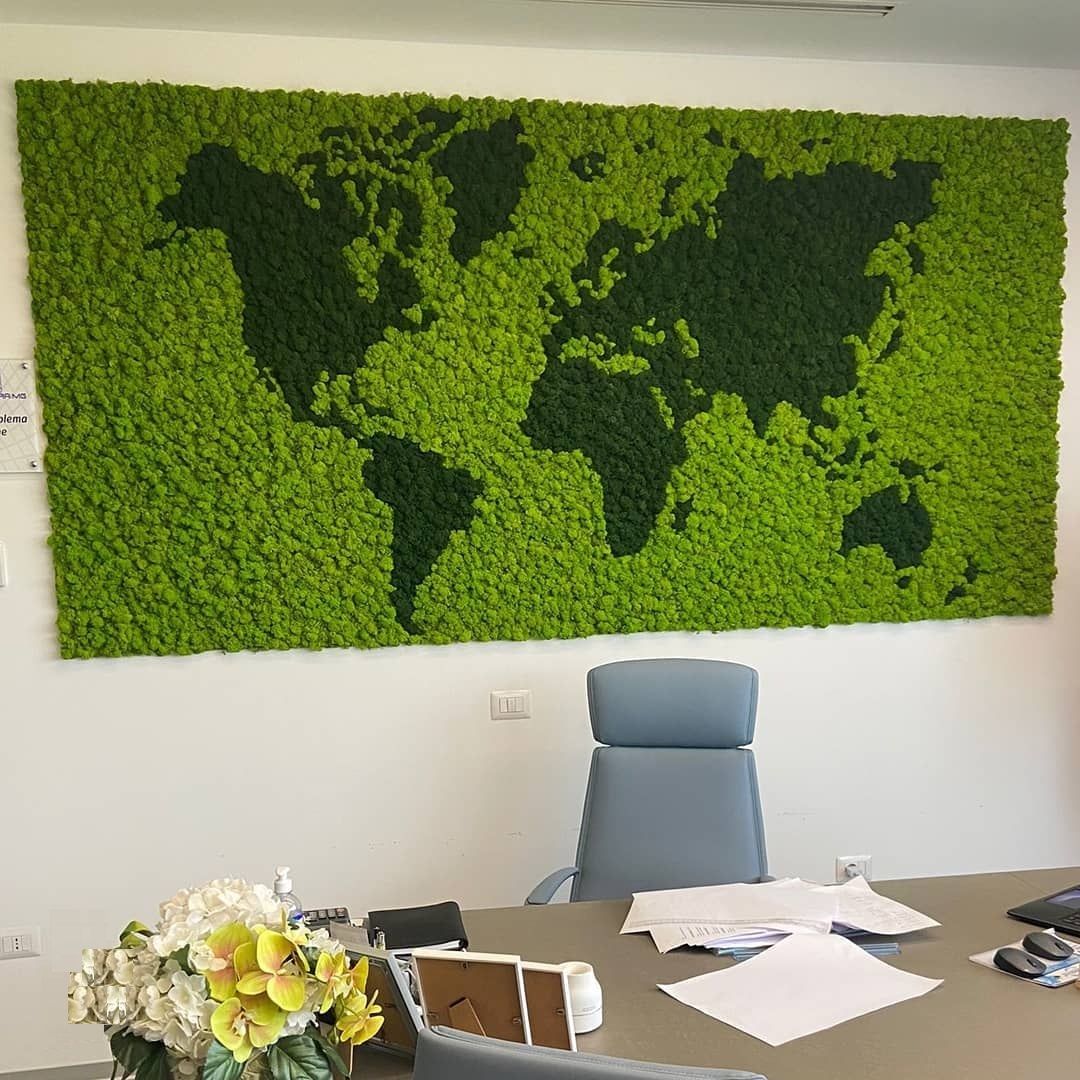 Lichene stabilizzato Borgomanero