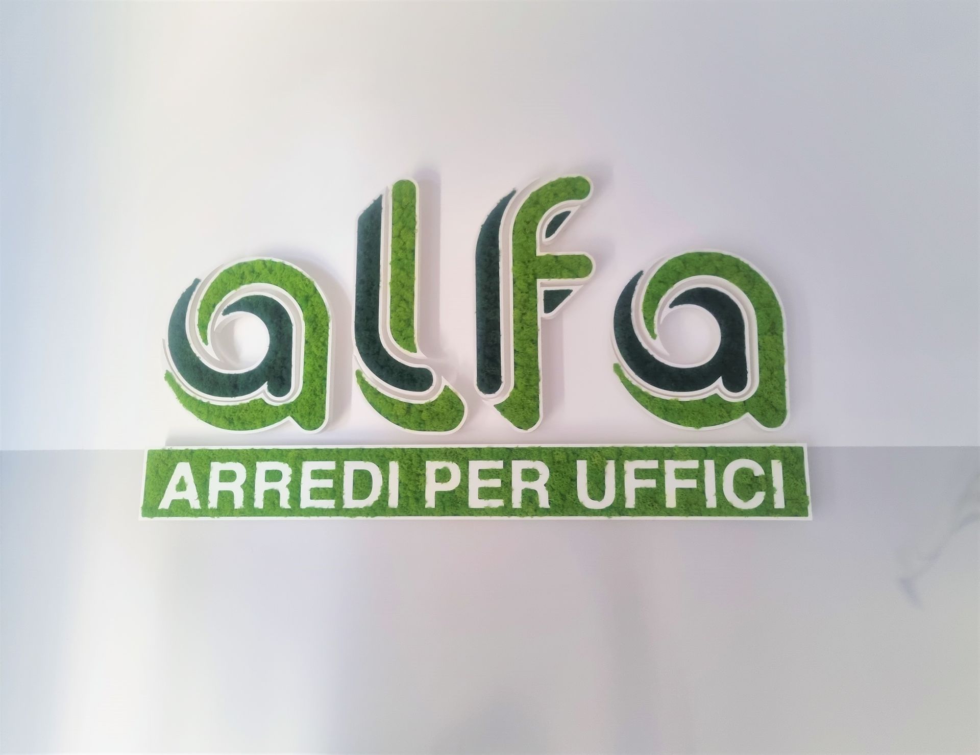 Loghi con lichene stabilizzato Novara