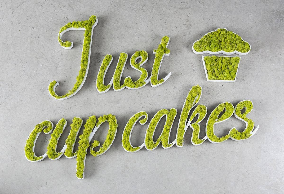 Loghi in lichene stabilizzato Alfa Novara