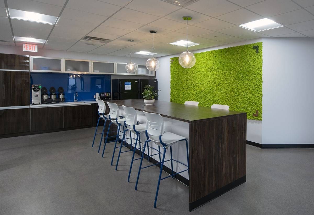 Pareti verde stabilizzato Novara