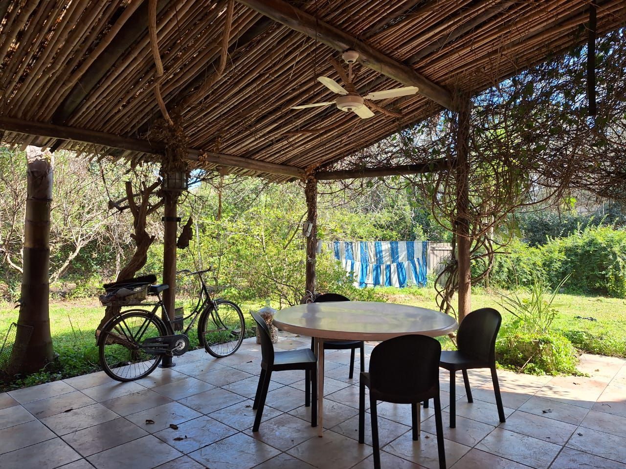 Patio cubierto con mesa y sillas, bicicleta y árboles verdes alrededor.