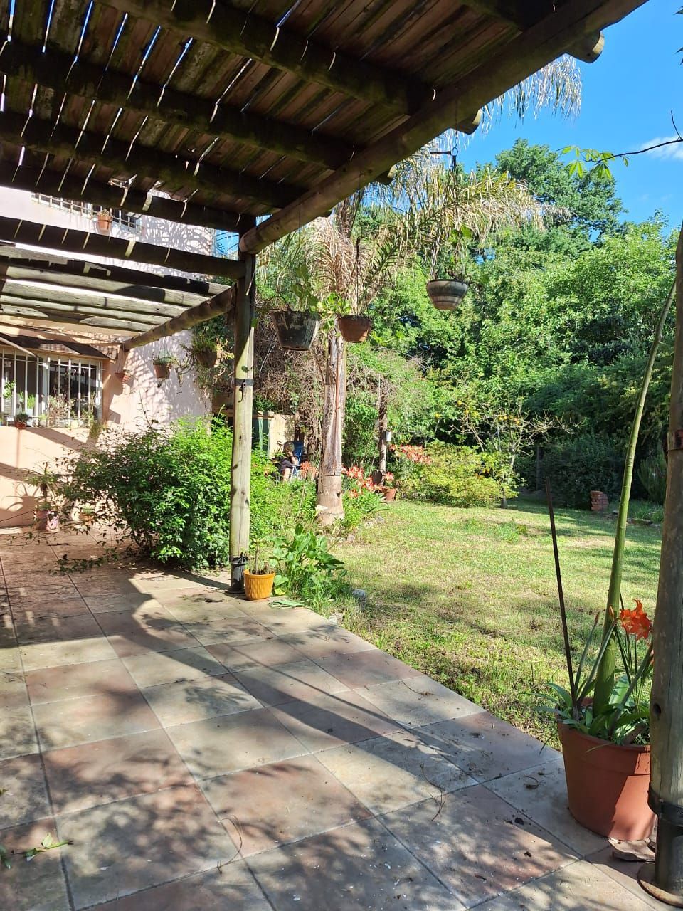 Patio exterior con pérgola de madera, vistas al jardín y plantas en macetas.