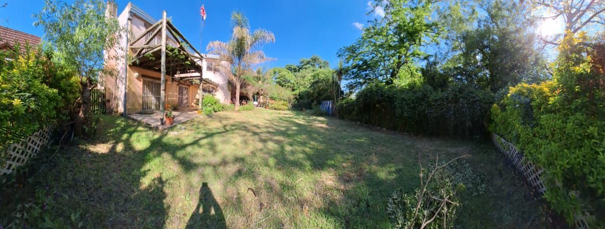 Patio trasero de una casa con hierba crecida, árboles y un cielo azul brillante.