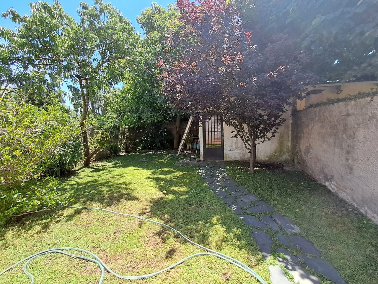 Patio trasero verde con árboles, césped, un sendero y un muro de piedra desgastado.