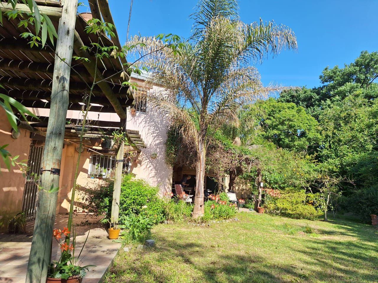 Una casa con pérgola, palmera y jardín bañado por el sol.