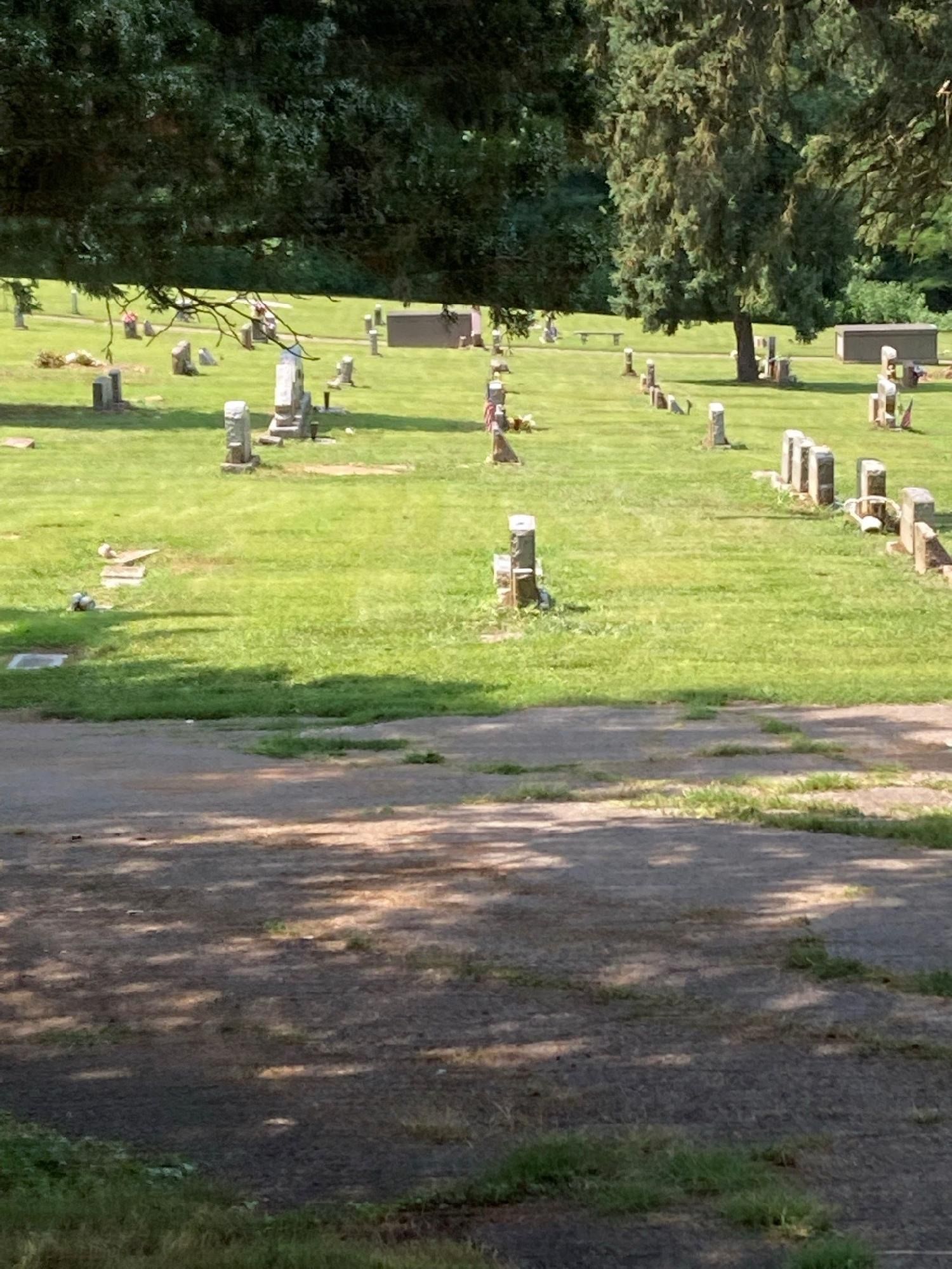 Graveyard with headstones, green grass, and trees under a sunny sky.