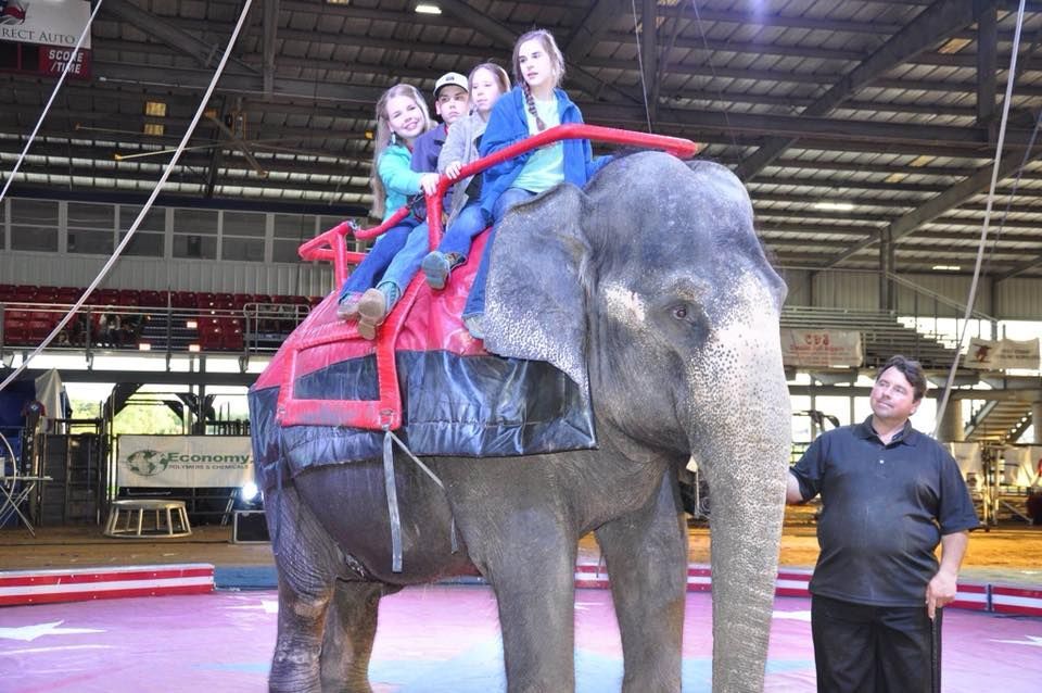 A group of people are riding on the back of an elephant | Arabia Shrine Circus