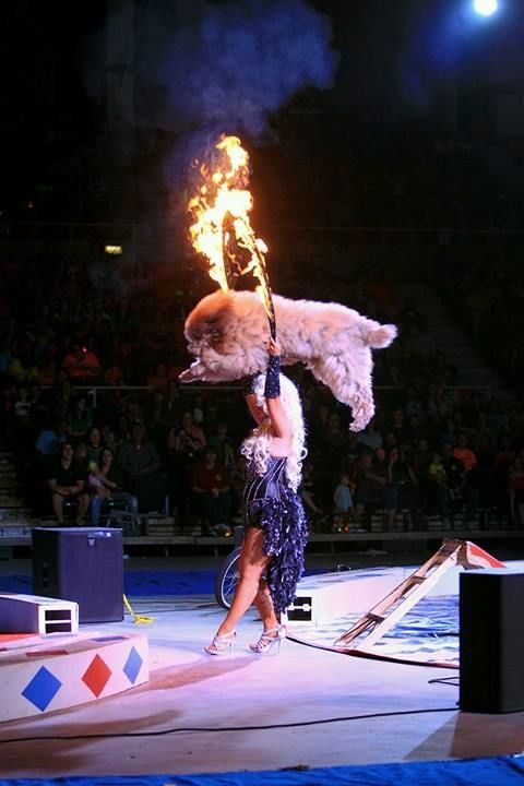 A woman is holding a stuffed animal with flames coming out of its head | Arabia Shrine Circus