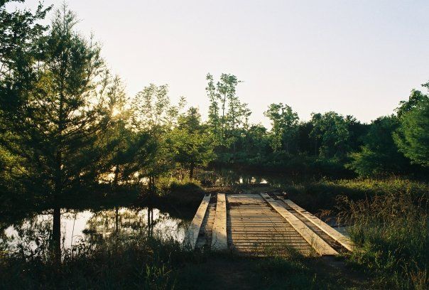 A dirt road with trees on both sides and a house in the distance