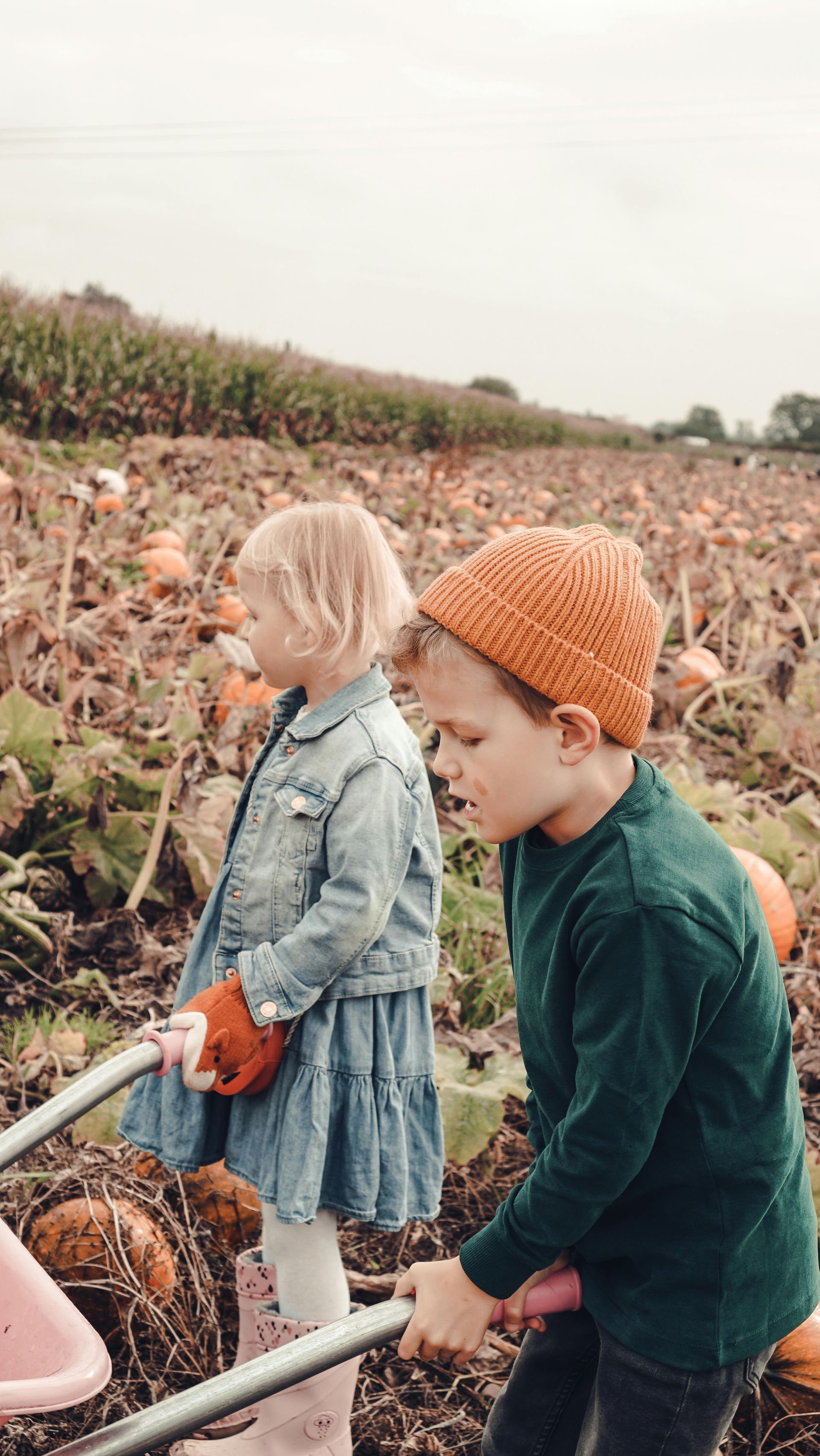 An image of children playing in a farm field
