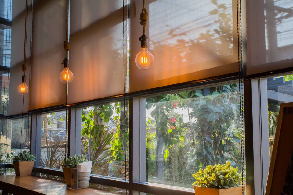 finestra con piante