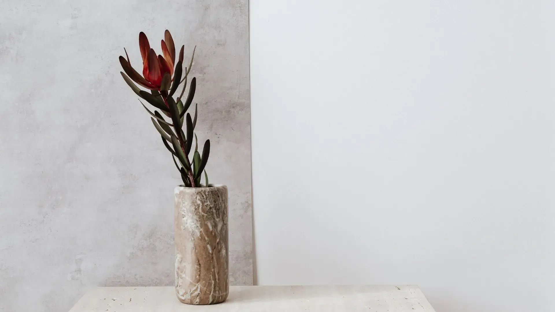 Dried flower in a textured vase on a light wooden surface, against a two-toned gray and white backdrop.