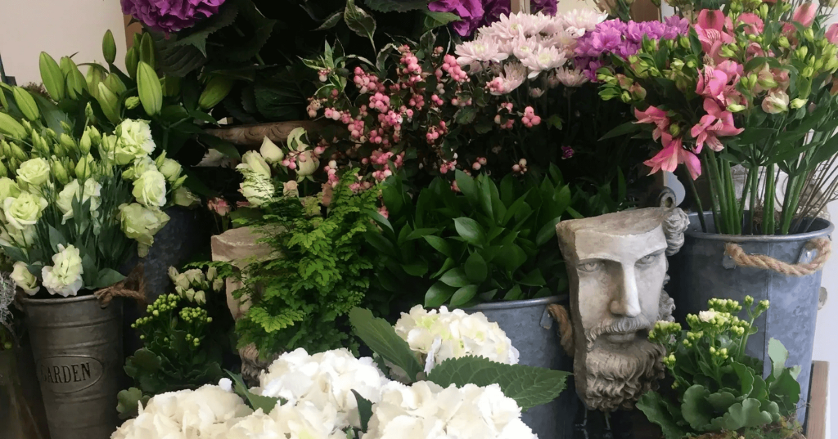 Florist Christchurch Bespoke Florist Chch, Canterbury