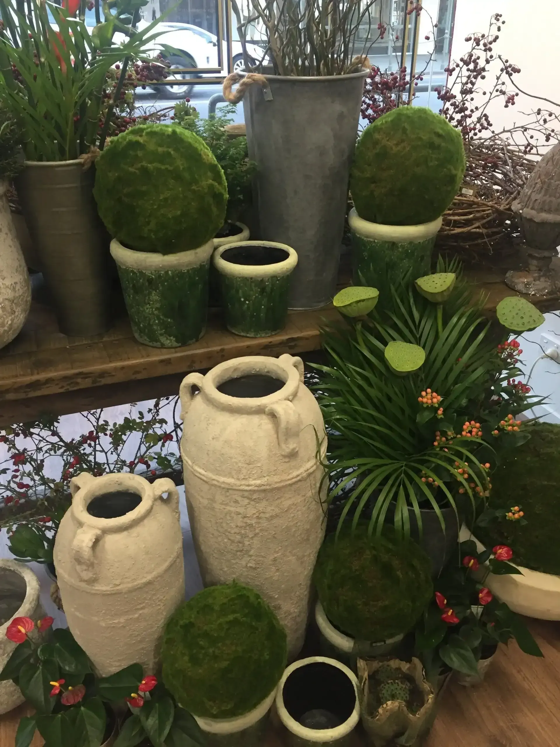 a bunch of potted plants and vases on a table