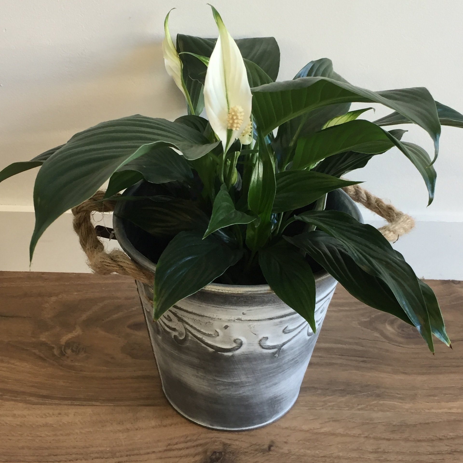 Florist Christchurch Bespoke Florist Chch, Canterbury