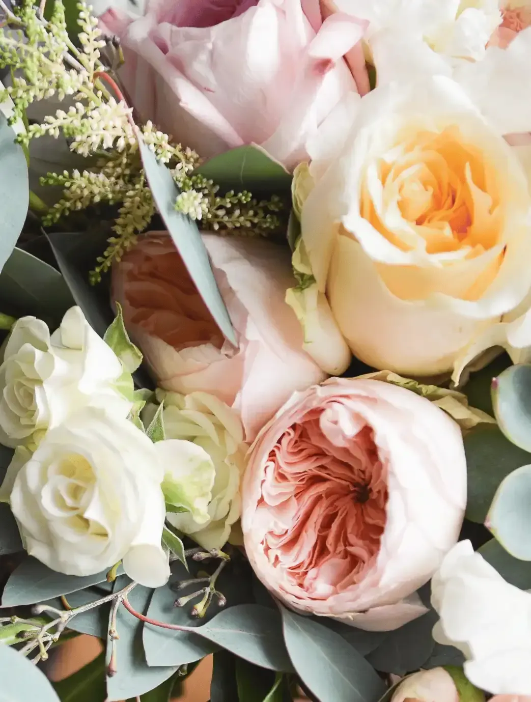 a close up of a bouquet of pink and white roses