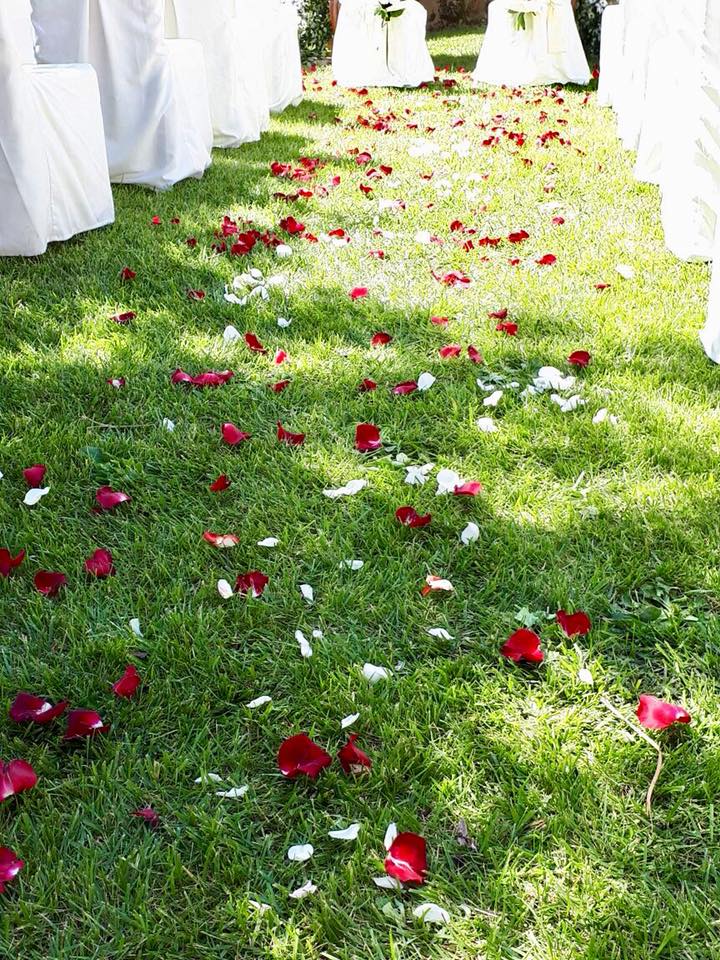 Corridoio di prato addobbato con petali rossi e bianchi