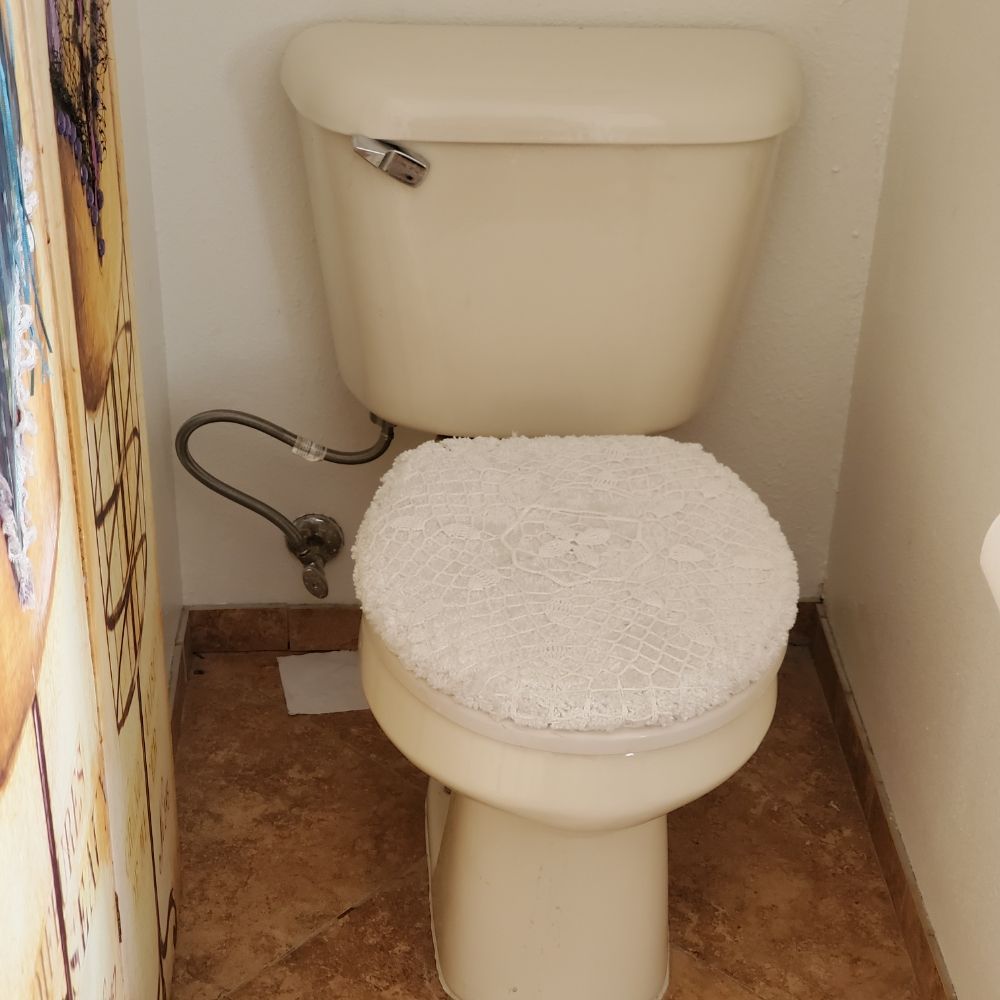 A toilet with a white seat and a hose attached to it