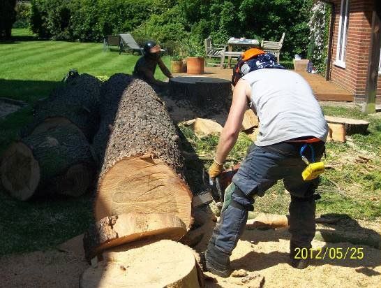 Cutting the tree trunk