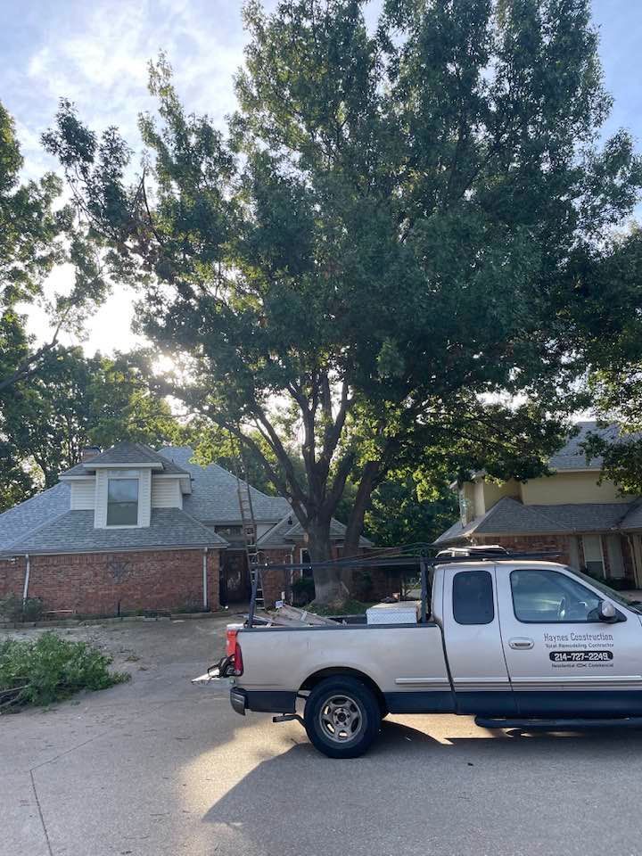 A white truck is parked in a driveway next to a tree.