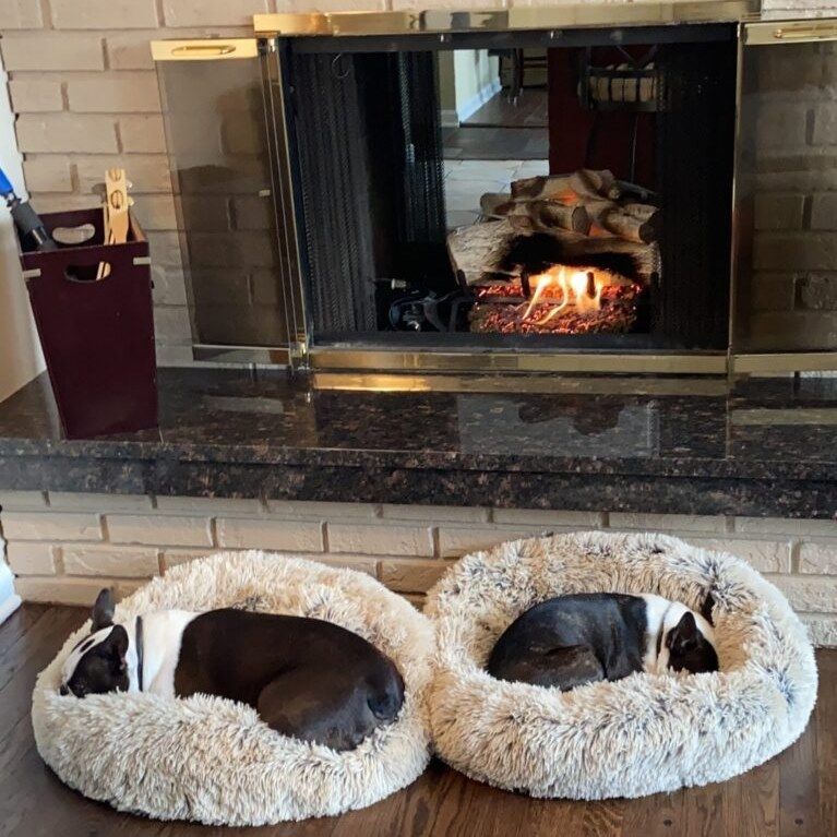 Two dogs are sleeping in dog beds in front of a fireplace