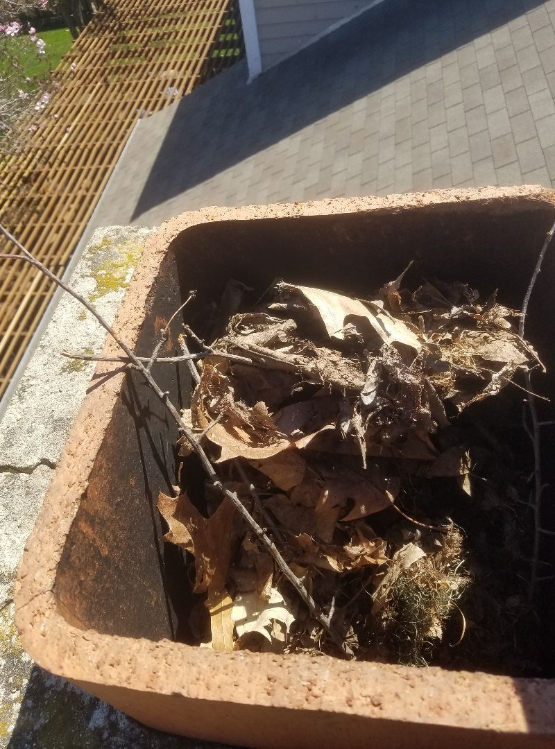 A clay pot filled with leaves and branches