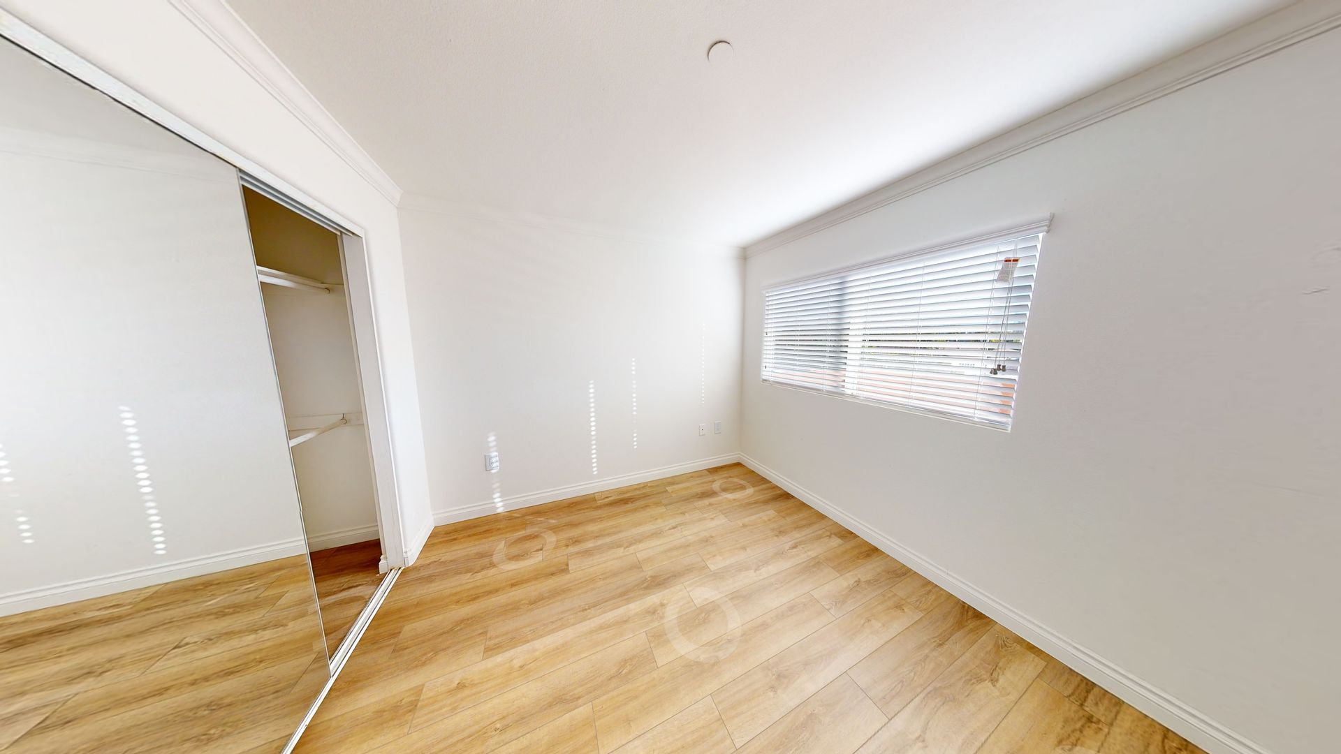 Empty room with light wood floors, white walls, closet, and window.