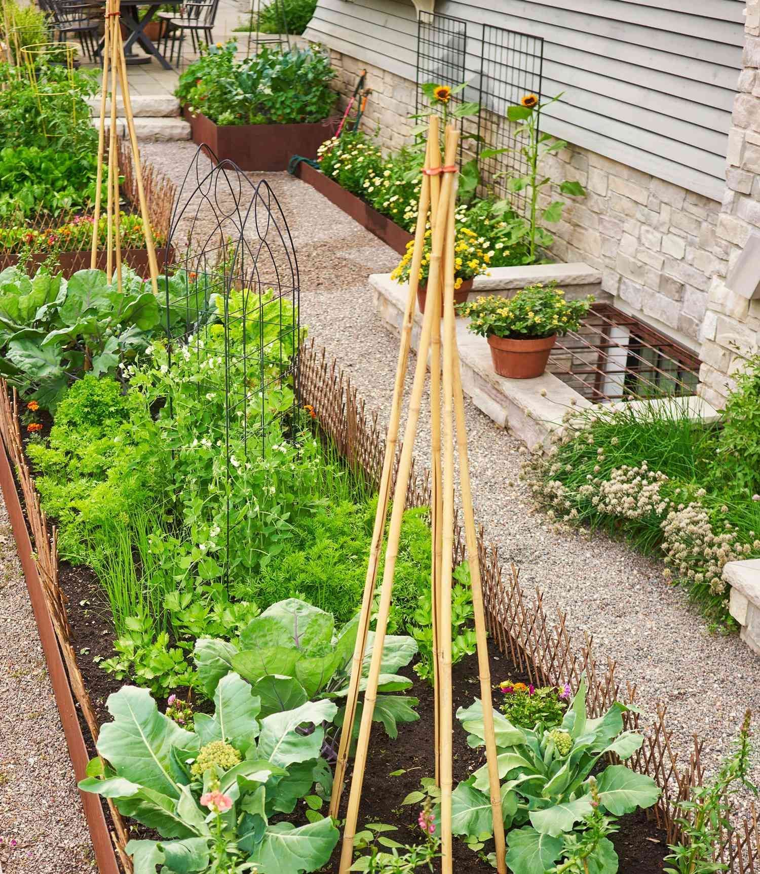 Vegetable garden with raised beds and trellises alongside a gravel pathway, near a stone building.