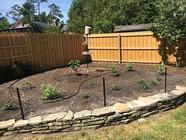 A fenced garden with a stone border, drip irrigation, bird feeder, and young plants.