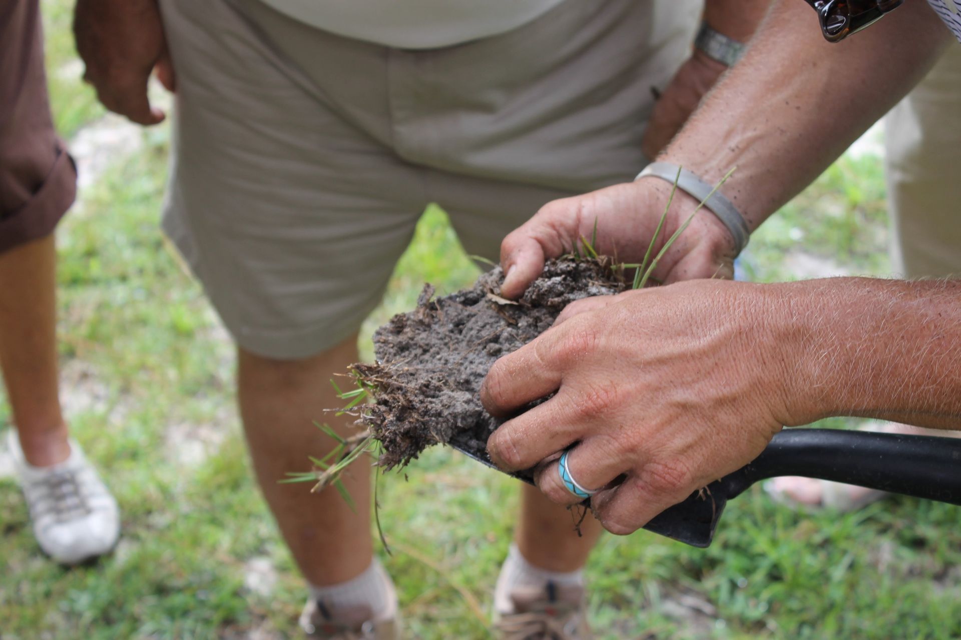 Hands holding a clod of dark soil with grass, examining its texture outdoors.