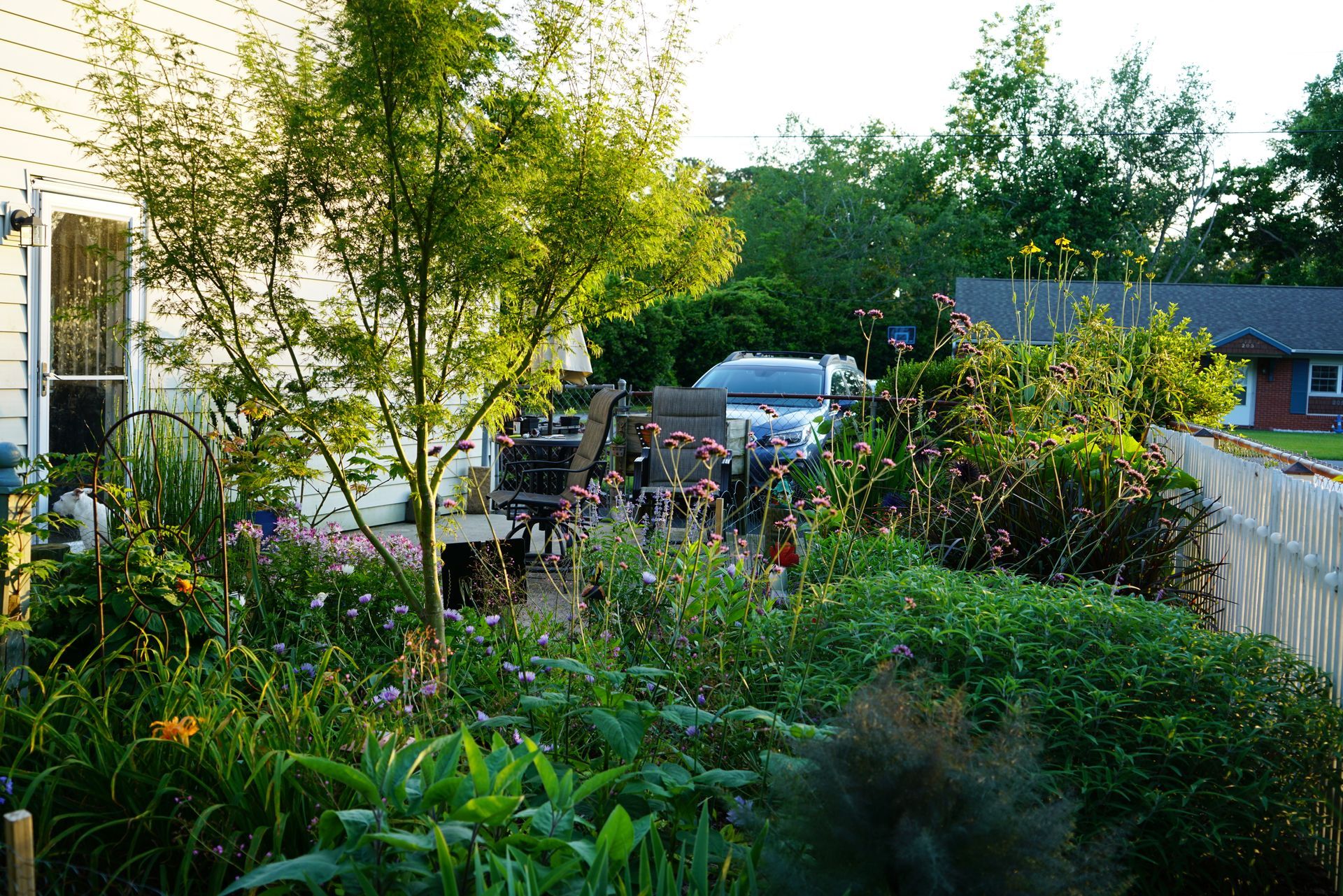 A garden with lush greenery, flowers, and a small tree next to a house and fence.